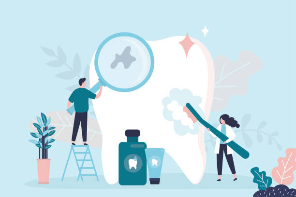  Trappe, MD Dental Services Pros
